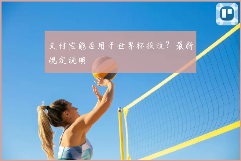 支付宝能否用于世界杯投注?最新规定说明