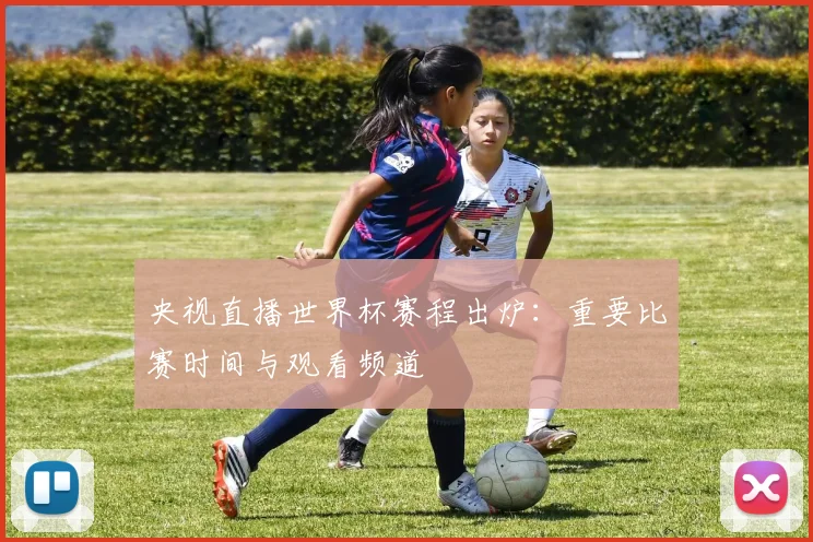 央视直播世界杯赛程出炉：重要比赛时间与观看频道
