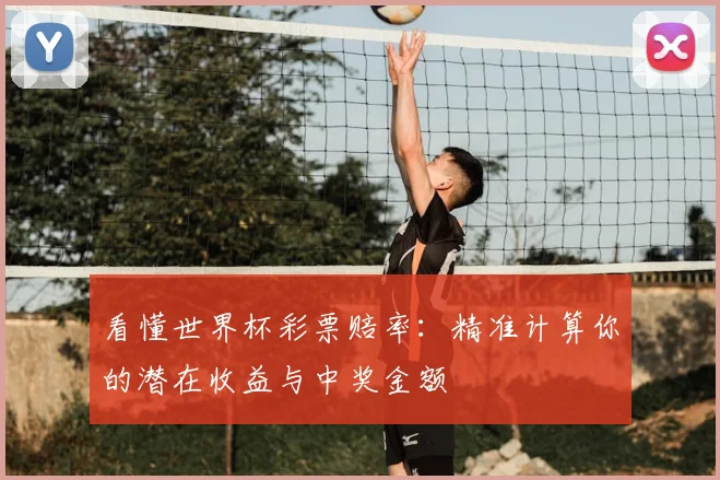 看懂世界杯彩票赔率：精准计算你的潜在收益与中奖金额