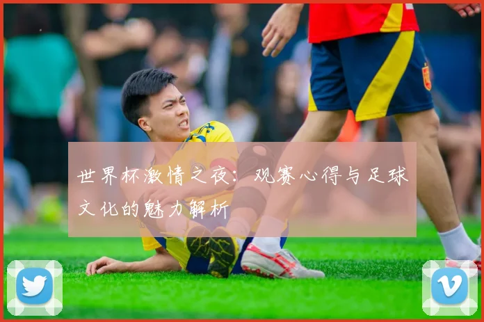 世界杯激情之夜：观赛心得与足球文化的魅力解析