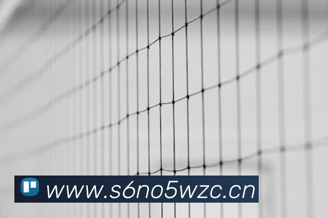 App Interface Preview